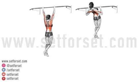 different pull ups