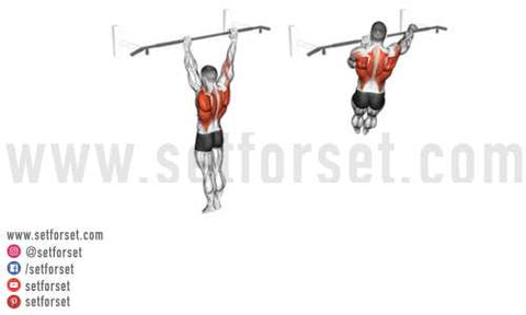 different types of pull ups and muscles they work