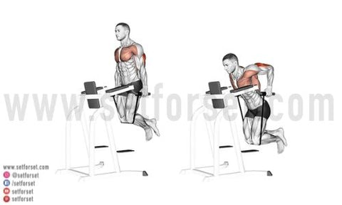 How To Do Bench Dips (Form & Benefits) - Steel Supplements