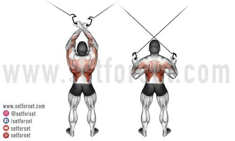 cable exercises for back: 7 Best Back Cable Exercises for Women to