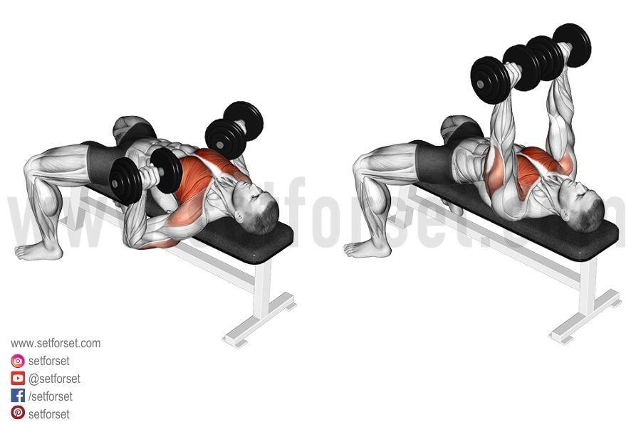 dumbbell bench press