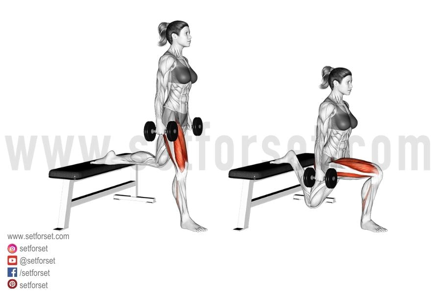 dumbbell bulgarian split squat