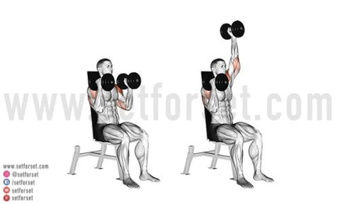 dumbbell exercises for front deltoids