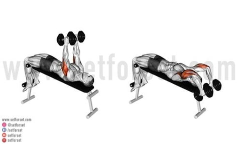 dumbbell long head tricep exercises
