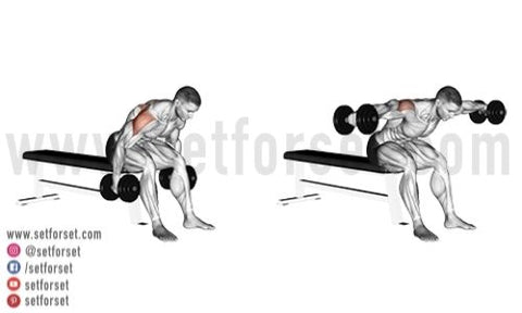 Exercises with the dumbbell for the rear shoulder area