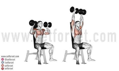 dumbbell shoulder exercise