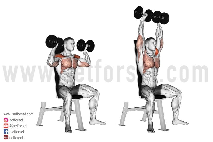 dumbbell shoulder press