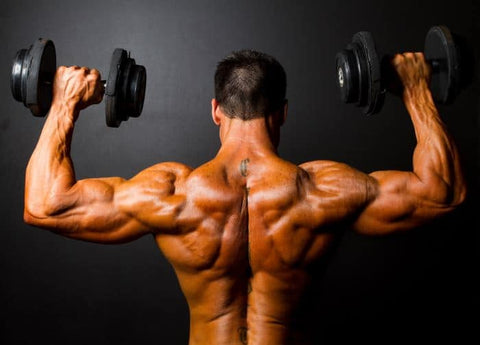 Dumbbell Shoulder Workout: 6 Best Exercises & Full Routine - SET FOR SET