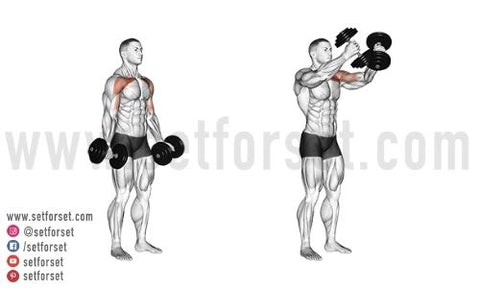 dumbbell standing chest exercises