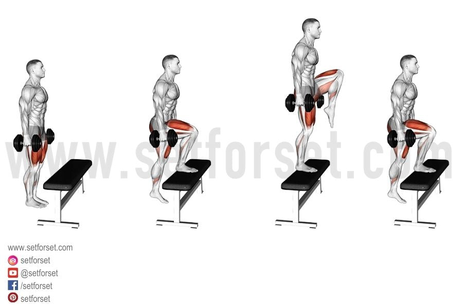 dumbbell step ups