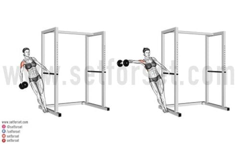 Dumbbell Shoulder workout for you 💗✨ ☑️3 rounds 10-12 reps each ▫️shoulder  press ▫️around the world ▫️shoulder ra