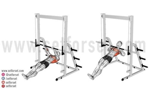 The Best Exercises for the Smith Machine: Squats, Bench Press, & More –  Transparent Labs