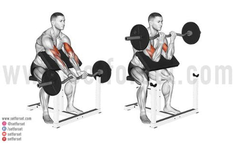 ez bar preacher curl