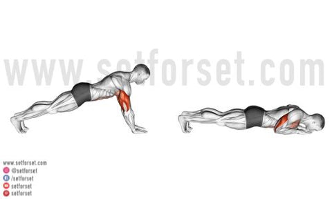 Push-Up Variations: 82 Types of Push-Ups You Need to Know About