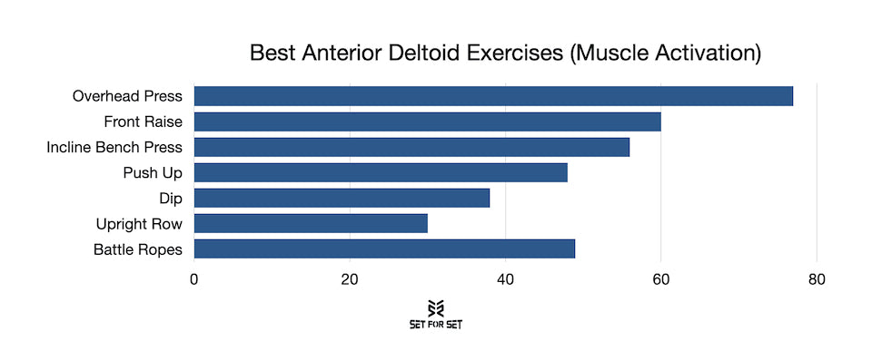 front delt muscle activation