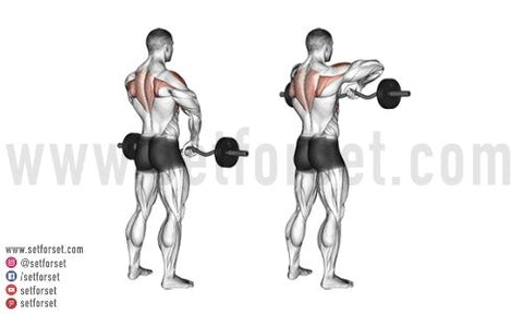 front delt upright rows