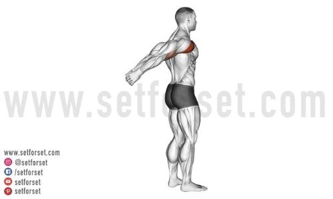 front deltoid stretching