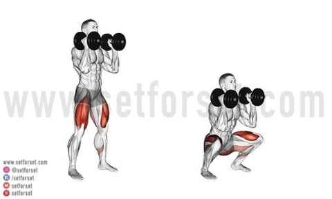 Dumbbell Squat (Legs) – Fitness Volt