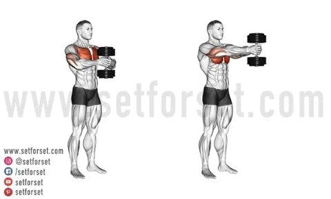 A Complete Manual for Chest Workouts - Fit N' Dine
