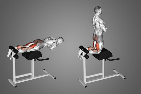 glute hamstring machine