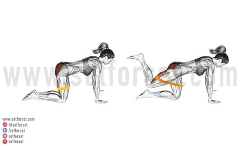 11 Glute Kickback Variations with Cable, Bands, and Bodyweight - SET FOR SET