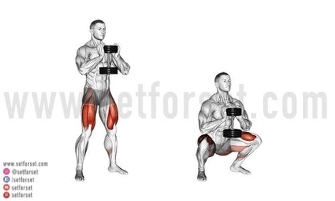 8 Best Hack Squat Alternatives to Work the Same Muscles - SET FOR SET