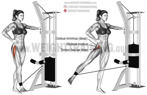 hip abductor exercise with cable machine