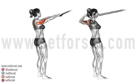 how do you target the lateral deltoid