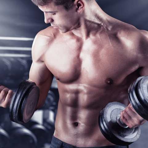 How long does it take to build muscle? What to expect after working out