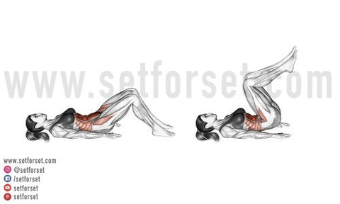 5 Bodyweight Postpartum Ab Exercises (Diastasis Recti Recovery