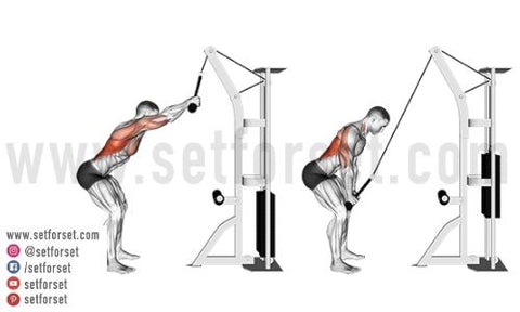  Back Fat Exercise Equipment