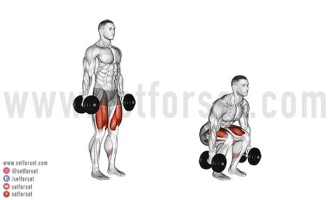 how to squat with dumbbells