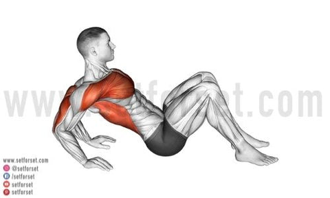 8 Best Stretches for Triceps - SET FOR SET