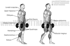 Best Traps Exercises For Strength And Size » Workout Routine Created By  Yönetici