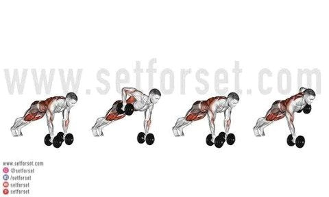 Exercicios costas  Back exercises, Gym back workout, Back workout