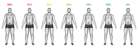 ideal body fat men