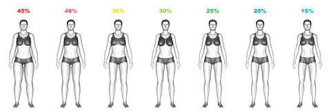 ideal body fat percentage women