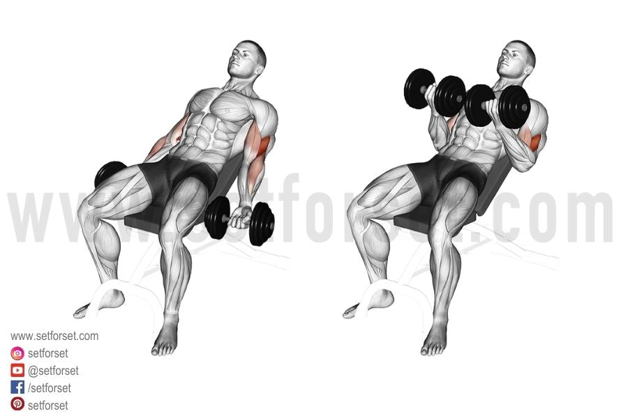 incline dumbbell curl