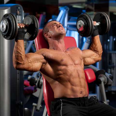 is arnold press better than shoulder press