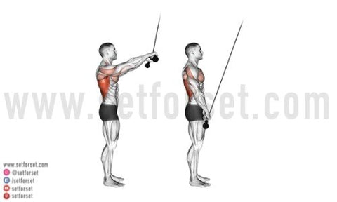 isolation exercise for lats