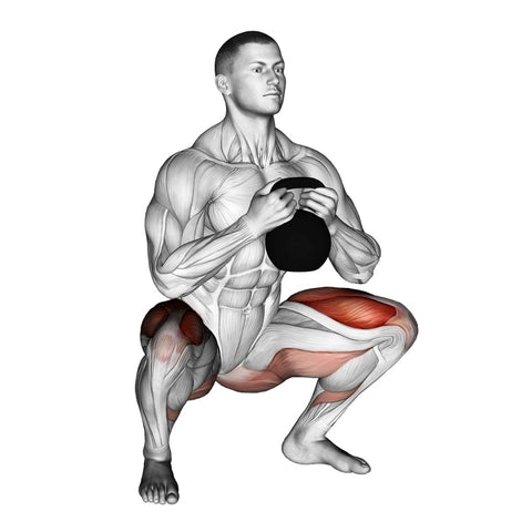 Goblet Sumo Squat — Rehab Hero