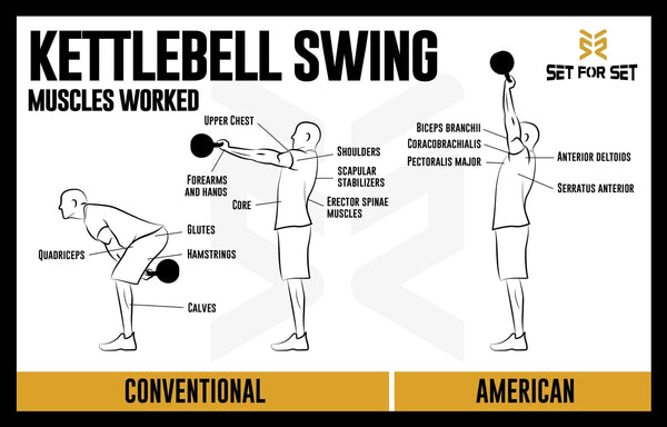Hæl I de fleste tilfælde Plenarmøde What Muscles Do Kettlebell Swings Work? - SET FOR SET