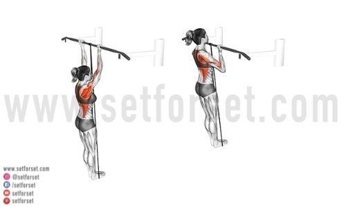 band assisted pull up alternative