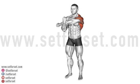 21 Best Lateral Deltoid Exercises To Build Wide Shoulders - SET FOR SET