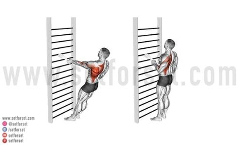 latissimus dorsi at home