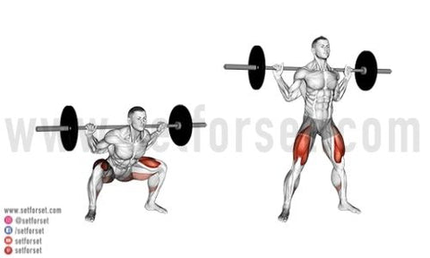 low bar back squat