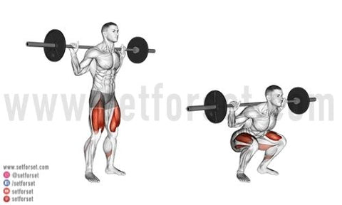 low bar back squat how to