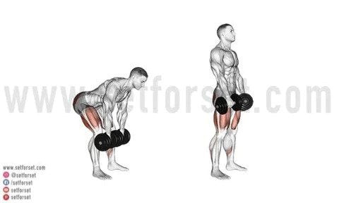 exercises to work lower back