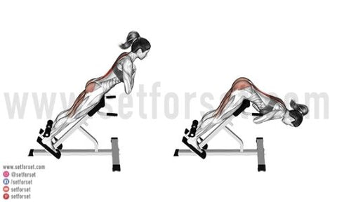 lower back exercises