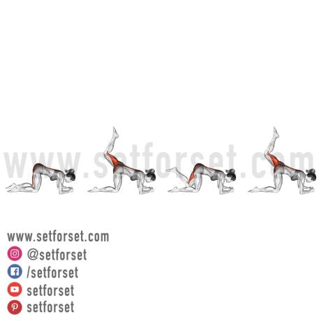 lumbar multifidus exercises